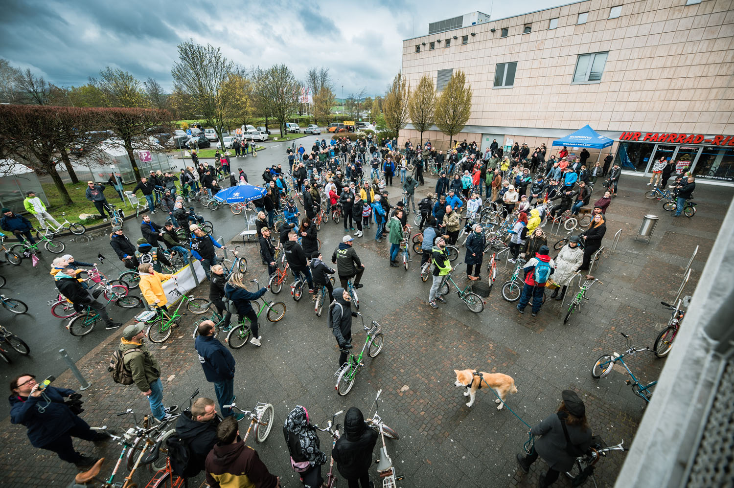 Klappischlange 2023 Erfurt - Foto WRKS-10