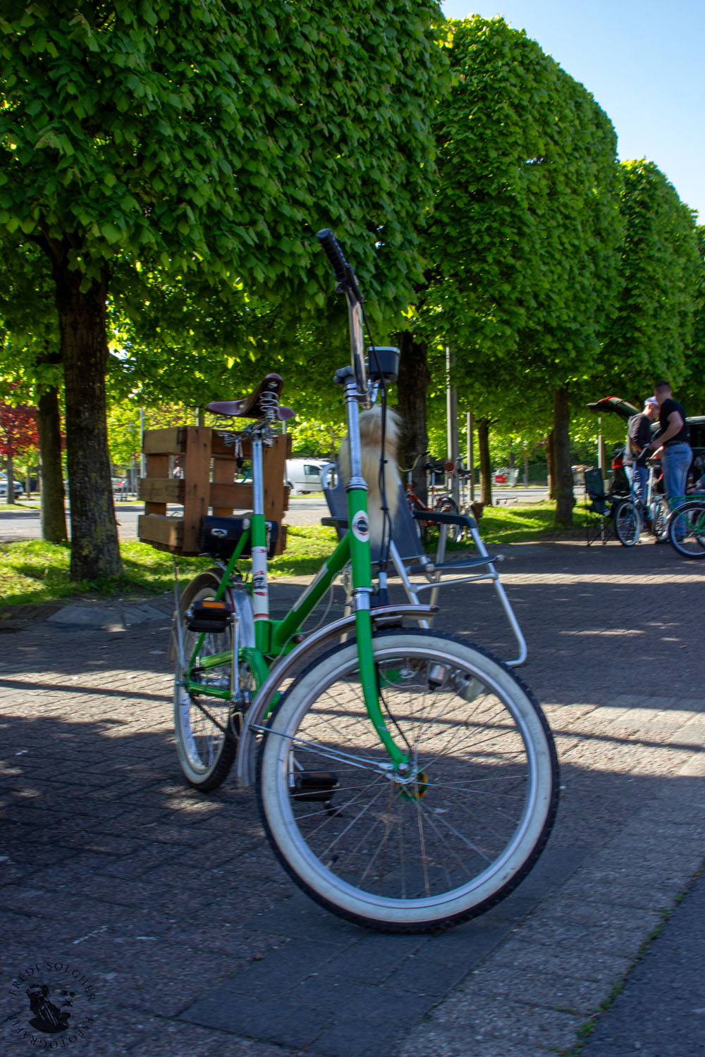 Klappischlange 2025 Erfurt - Foto 20250511_0017
