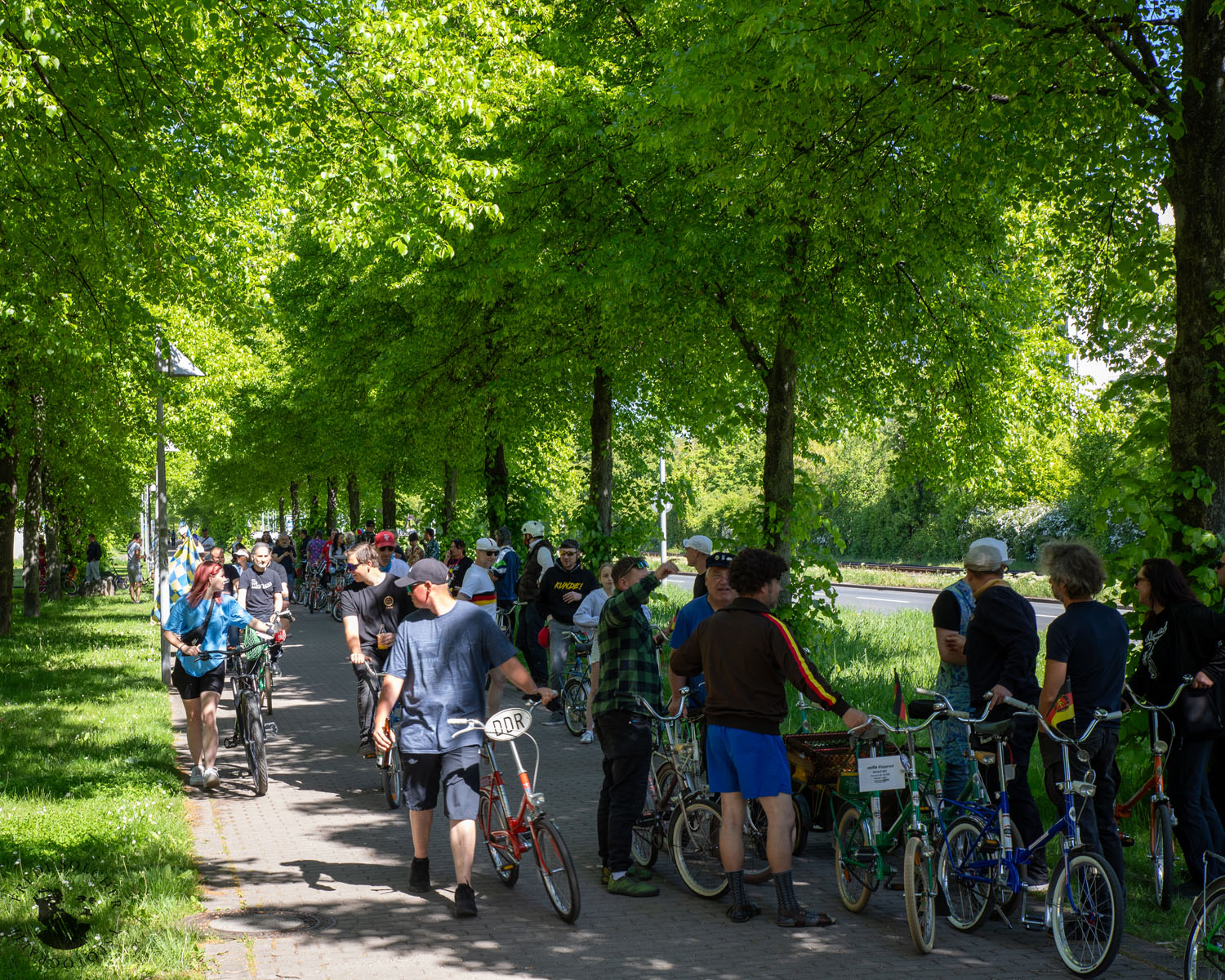 Klappischlange 2025 Erfurt - Foto 20250511_0054