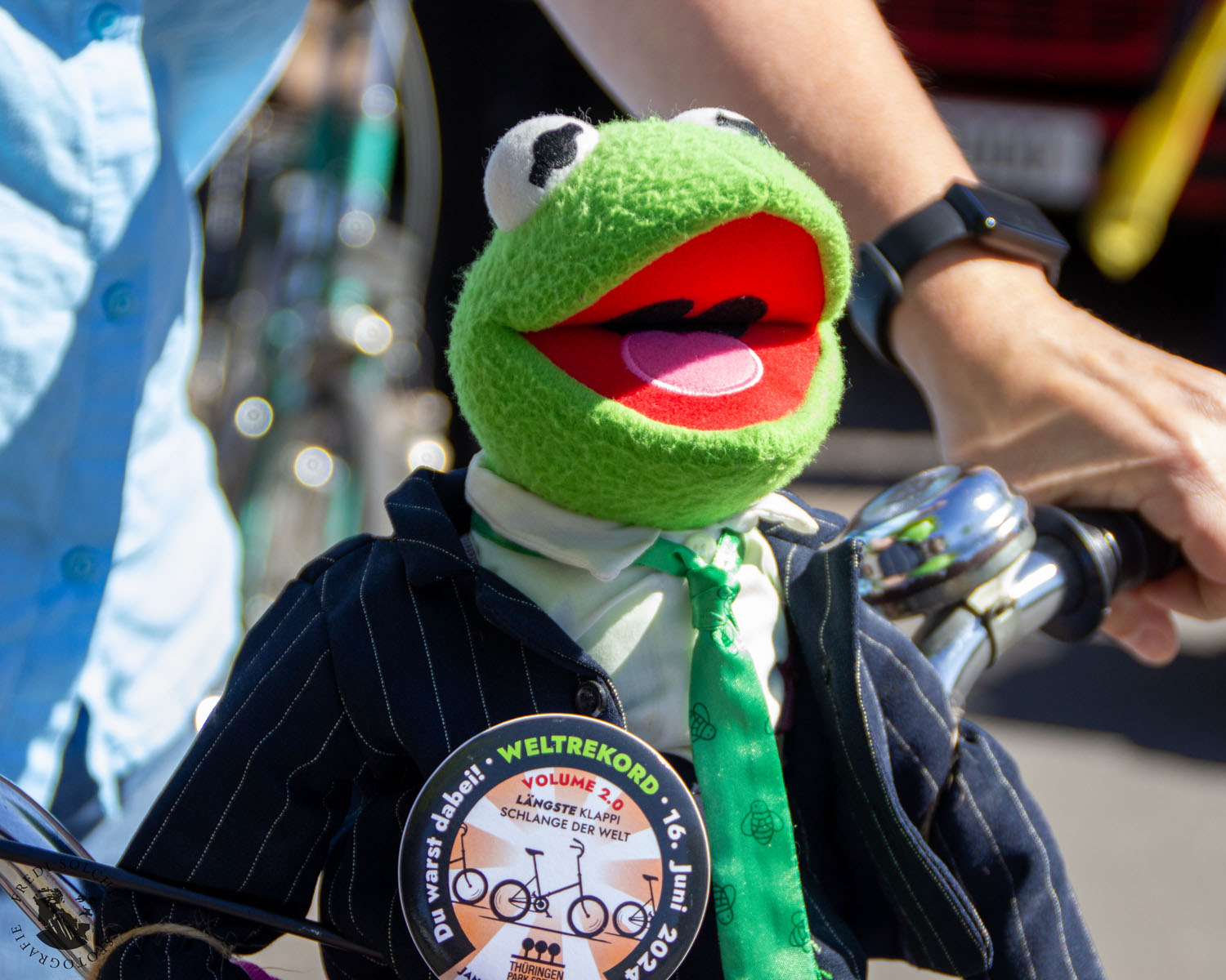 Klappischlange 2025 Erfurt - Foto 20250511_0058