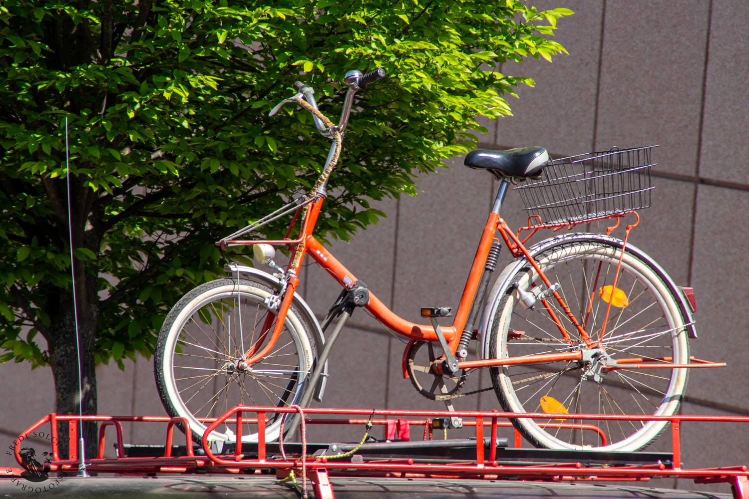 Klappischlange 2025 Erfurt - Foto 20250511_0059